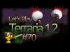 Terraria - Level 70
