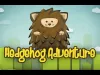 Hedgehog Adventure - Level 40