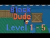 T-Blocks Puzzle - Levels 1 5