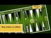 How to play Backgammon Gold PREMIUM (iOS gameplay)