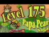 Papa Pear Saga - Level 175