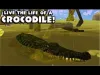 How to play Wildlife Simulator: Crocodile (iOS gameplay)